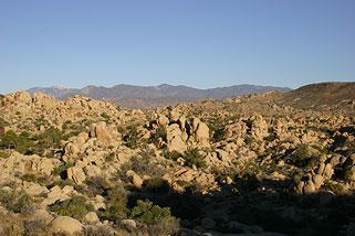 Mojave Desert