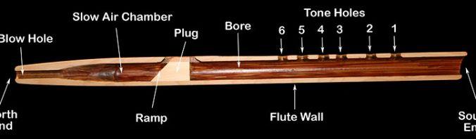 Crosscut of a Flute