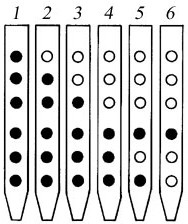 What is the pentatonic scale