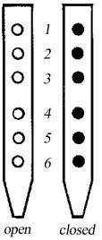 Finger position: making your first sounds on the Native American flute